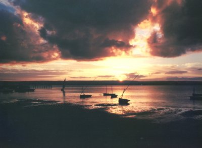 Image of olhar305.jpg