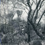 Image of rupest41a.jpg