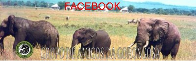 Image of faceamigosgorongosa1.jpg